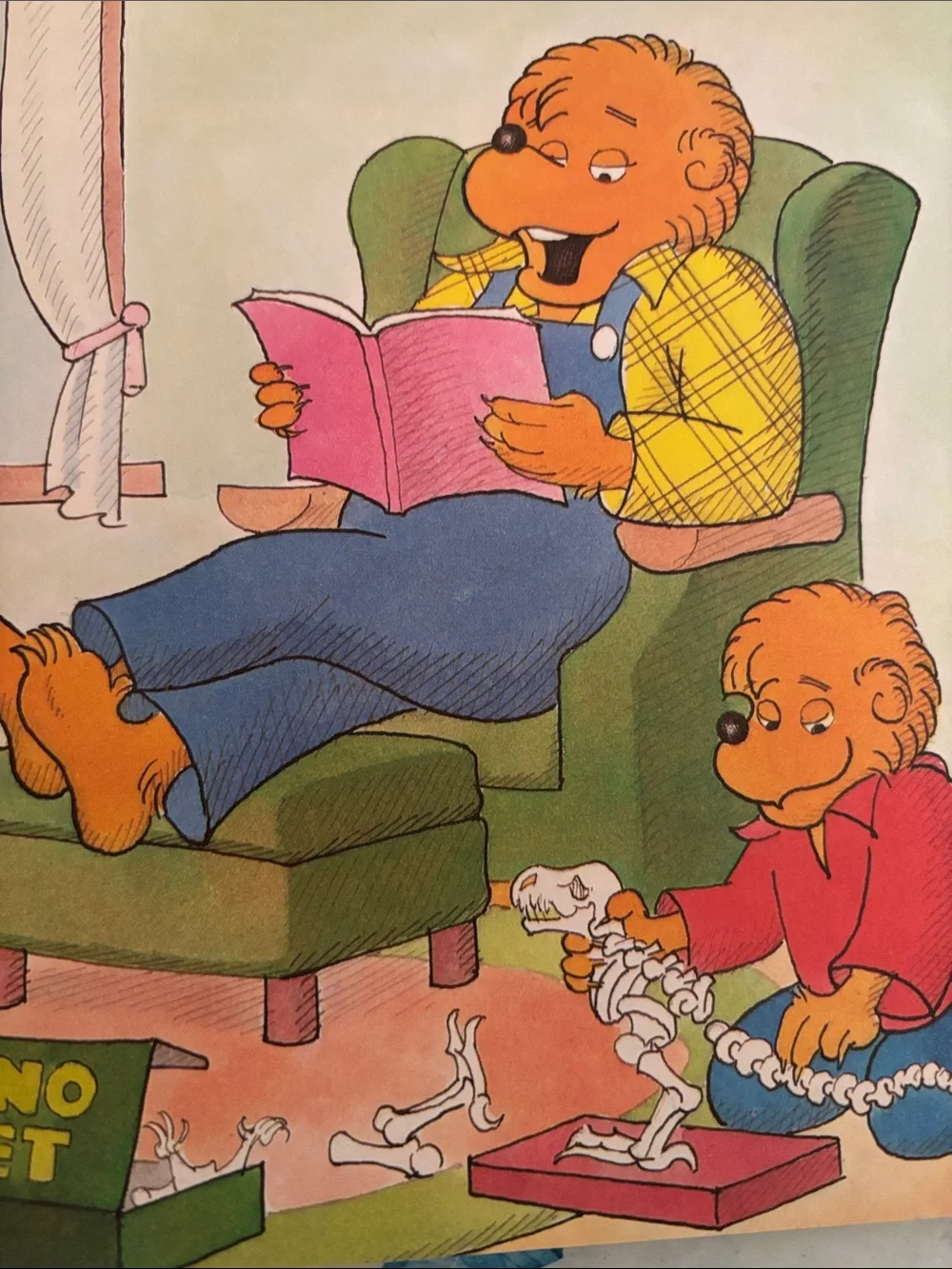 The Berenstain Bears and the Slumber Party
